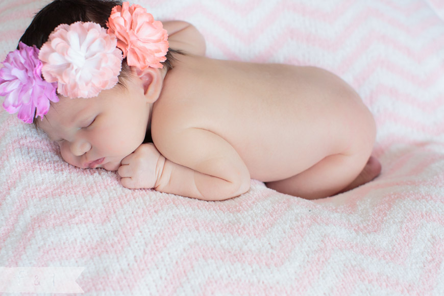 feather + light photography | main line, pa newborn  photographer | pink + white | floral