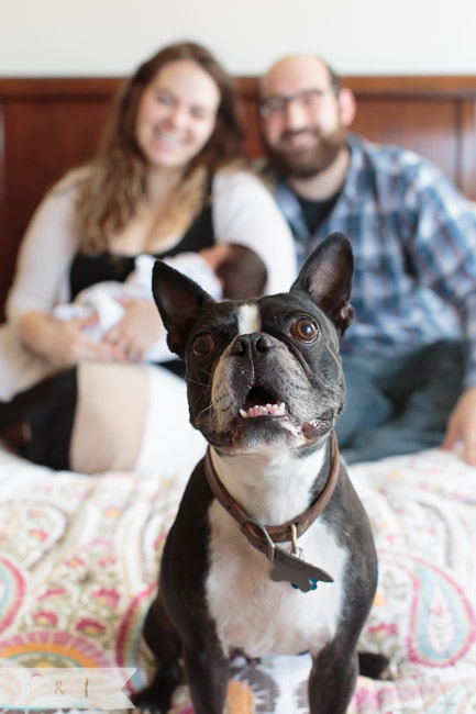 feather + light photography | main line, pa newborn + lifestyle photographer | newborn 