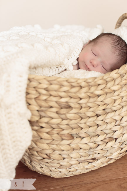 feather + light photography | main line, pa newborn lifestyle photographer