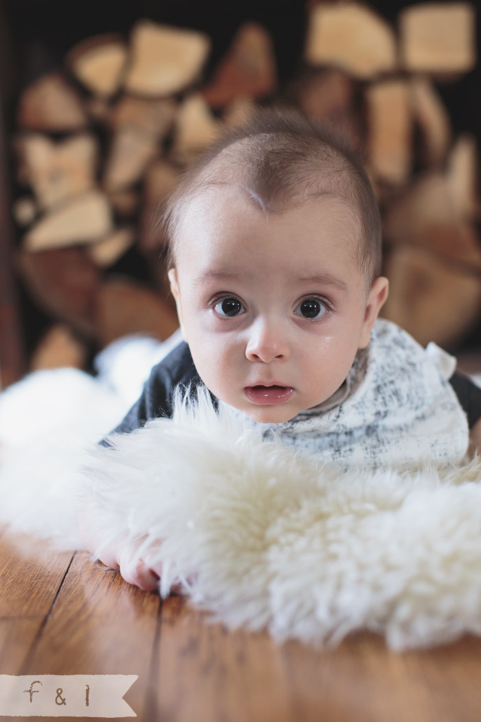 feather + light photography | child photographer mainline, pa 