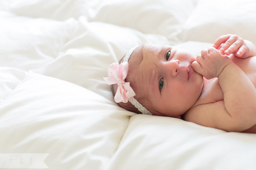 feather + light photography | Main Line, PA newborn photographer 