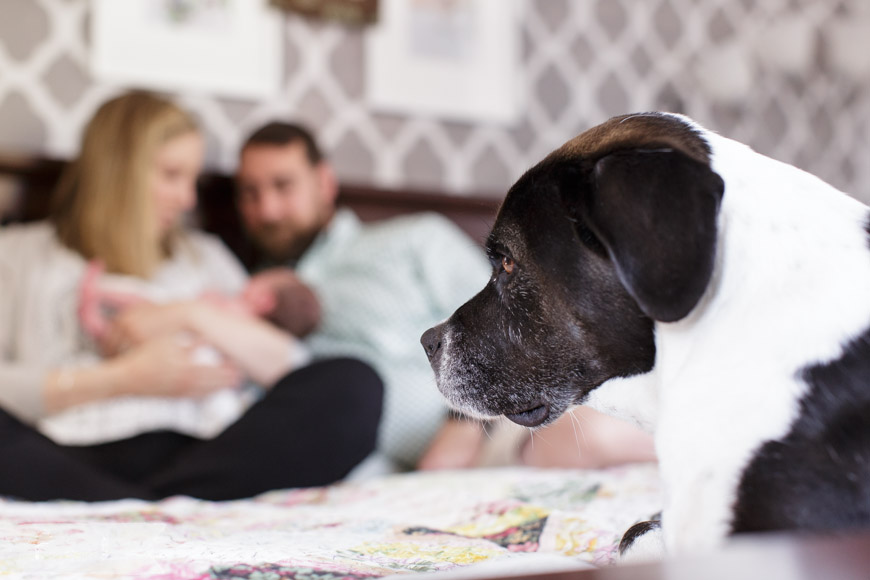 feather + light photography | main line, pa newborn lifestyle photographer