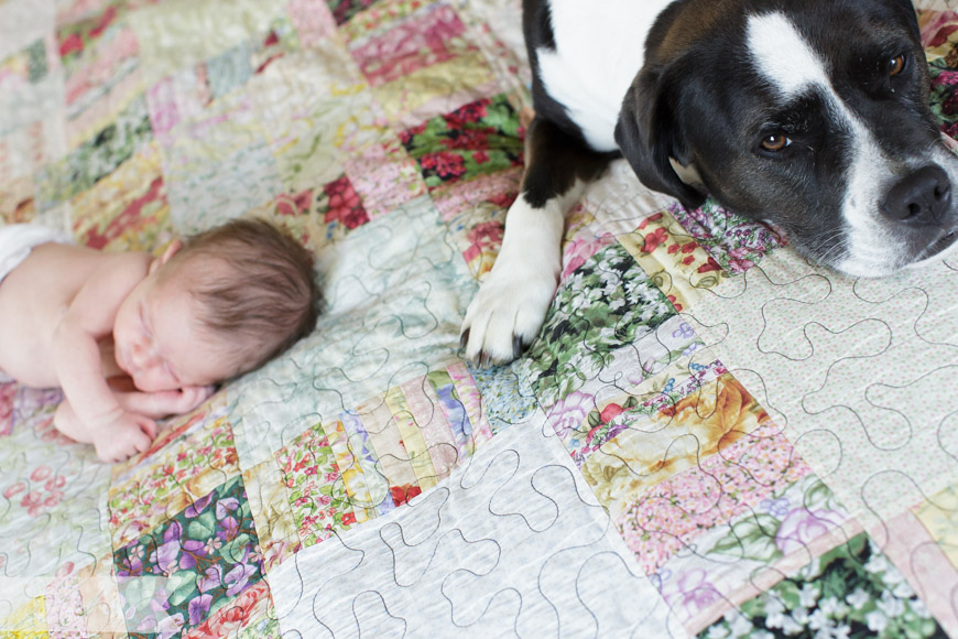 feather + light photography | main line, pa newborn lifestyle photographer