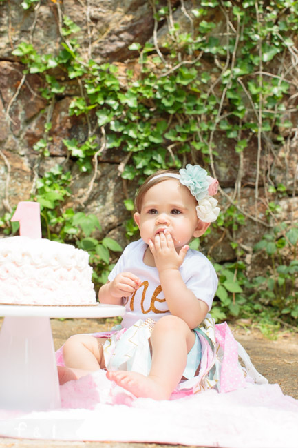 feather + light photography | Greenville, DE family photographer | lifestyle photography | valley garden park, DE | cake smash | first birthday