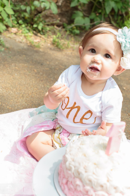 feather + light photography | Greenville, DE family photographer | lifestyle photography | valley garden park, DE | cake smash | first birthday