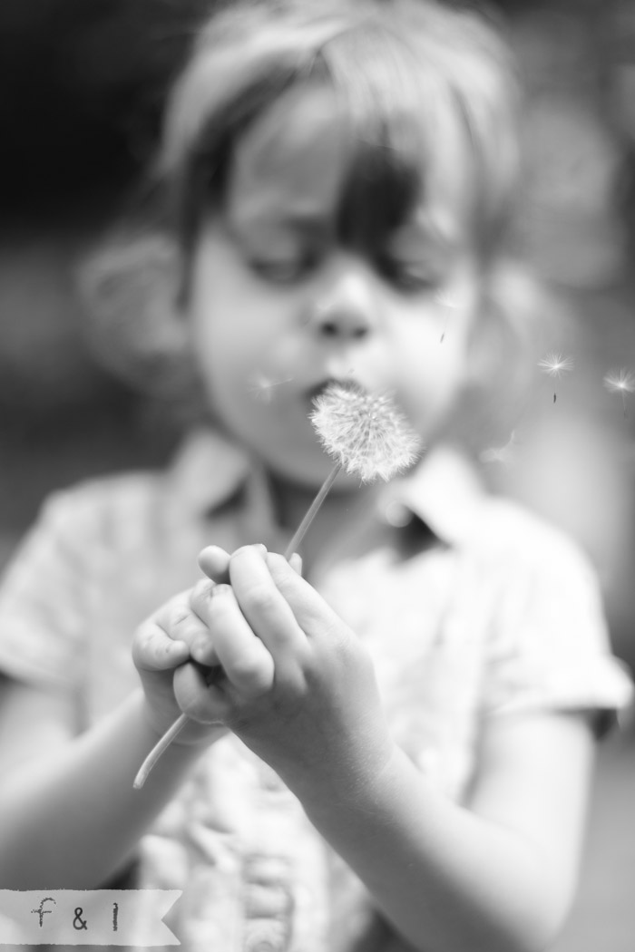 feather + light photography | lifestyle + family photographer | main line, pa | dreamy | just imagine