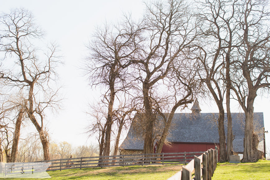 feather + light photography | family lifestyle photographer west chester,pa | springton manor farm