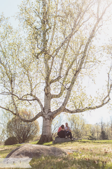 feather + light photography | family lifestyle photographer west chester,pa | springton manor farm