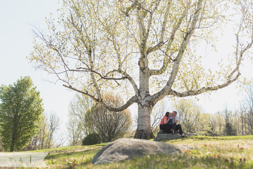 feather + light photography | family lifestyle photographer west chester,pa | springton manor farm