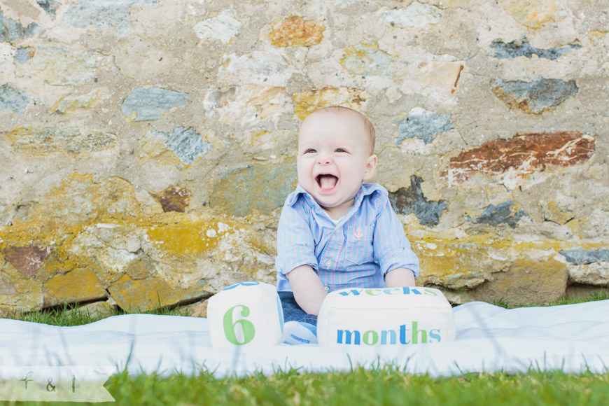 feather + light photography | family lifestyle photographer west chester,pa | springton manor farm | family + barn housefeather + light photography | family lifestyle photographer west chester,pa | springton manor farm  | 6 month baby photo shoot