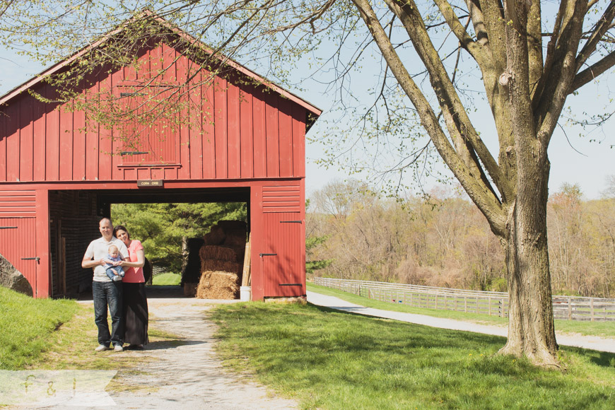 feather + light photography | family lifestyle photographer west chester,pa | springton manor farm | family + barn housefeather + light photography | family lifestyle photographer west chester,pa | springton manor farm  | 6 month family photo shoot