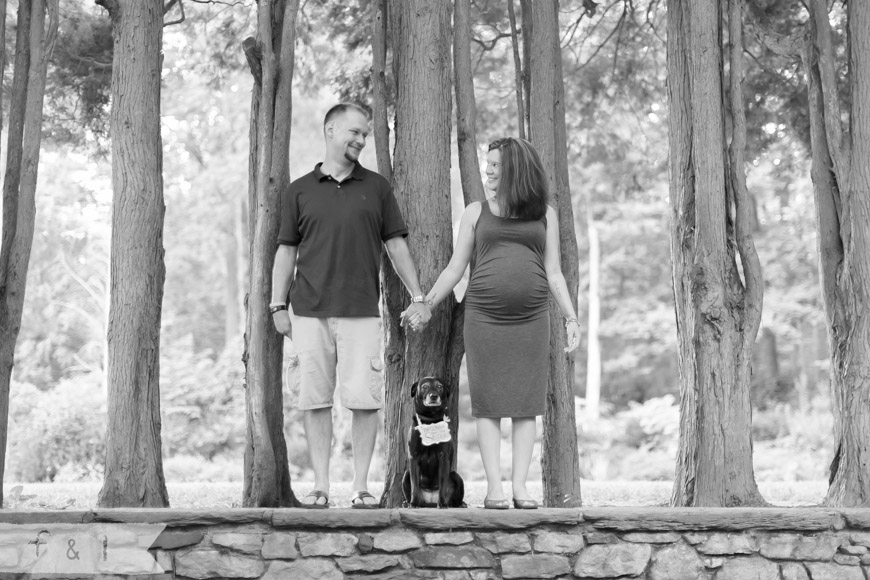 feather + light photography | maternity lifestyle photographer | main line ,pa maternity photographer | ridley creek state park