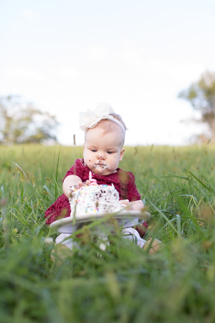 feather + light photography | family lifestyle photographer west chester, pa | strouds preserve | cake smash