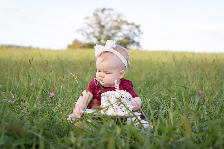 feather + light photography | family lifestyle photographer west chester, pa | strouds preserve | cake smash