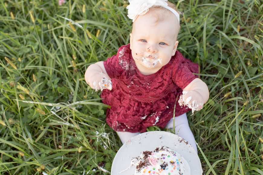 feather + light photography | family lifestyle photographer west chester, pa | strouds preserve | cake smash