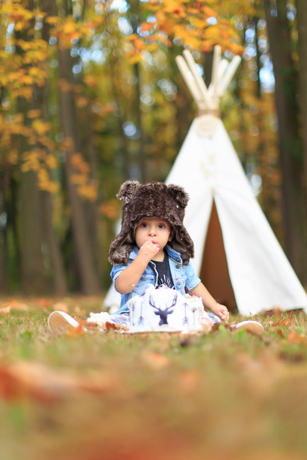 feather + light photography | west chester, pa family photographer | cake smash | camp cruz bear | camp theme first birthday