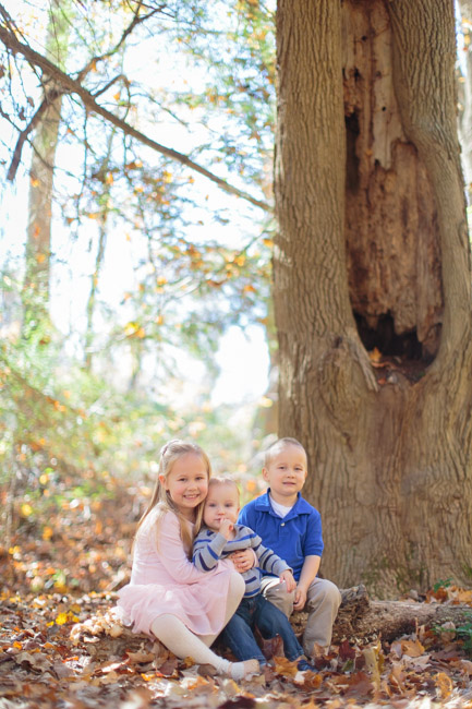 feather + light photography | lifestyle photographer west chester, pa | family photography | ridley creek state park