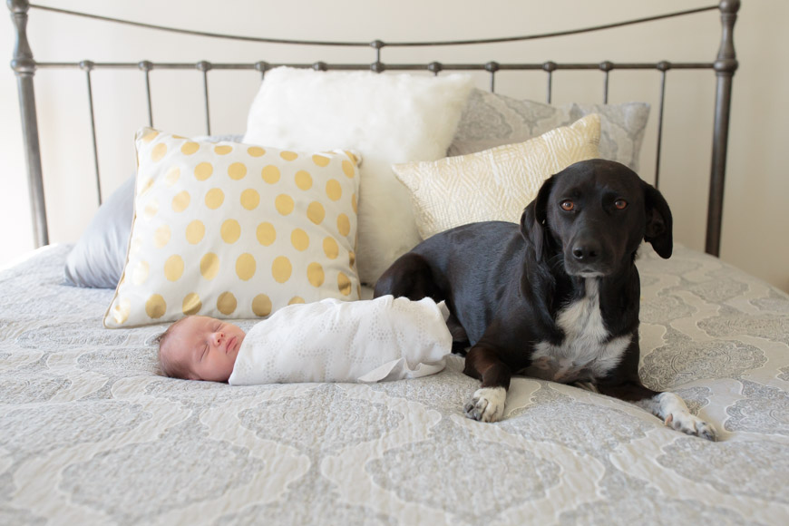 feather + light photography | main line pa newborn photographer | lifestyle newborn photography | natural light photography 