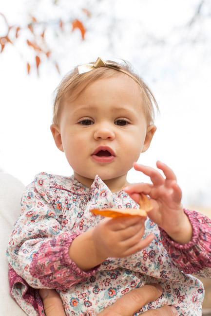 feather + light photography | philadelphia family photographer | gardens | first birthday | fall