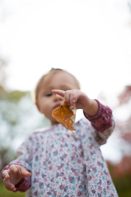 feather + light photography | philadelphia family photographer | gardens | first birthday | fall