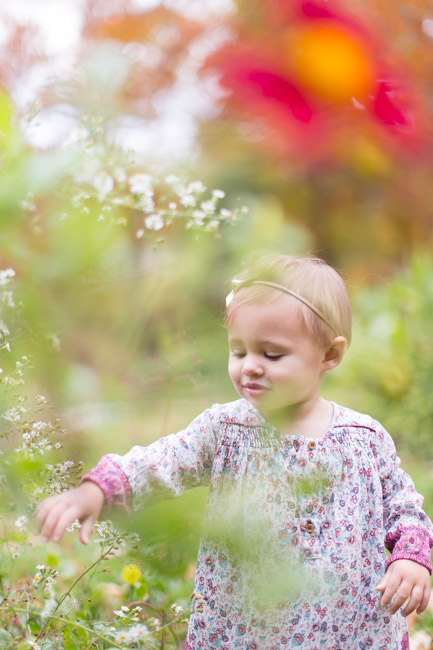 feather + light photography | philadelphia family photographer | gardens | first birthday | fall