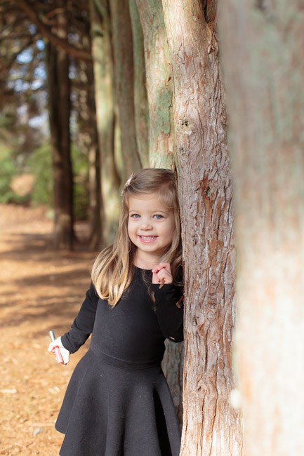 feather + light photography | sisters | hunting hill mansion | fall | stone