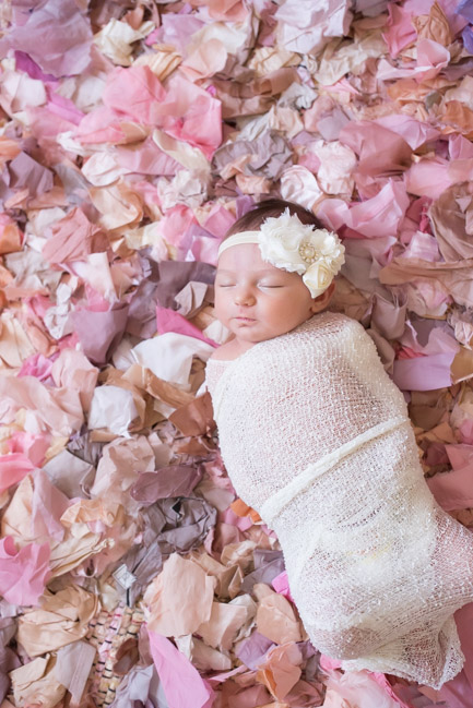 feather + light photography | west chester, pa newborn photographer | feminine nursery | baby girl | 