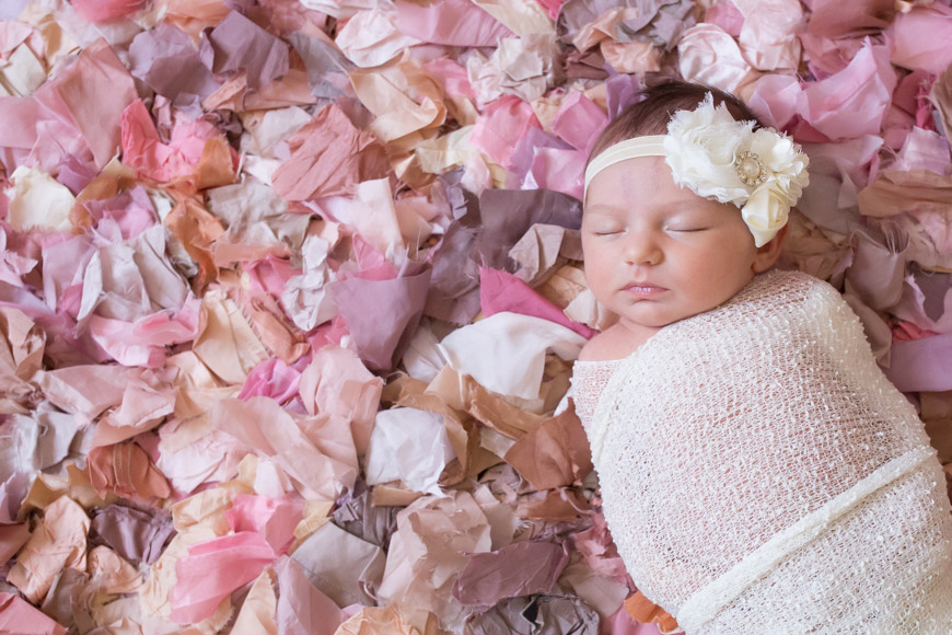 feather + light photography | west chester, pa newborn photographer | feminine nursery | baby girl | 