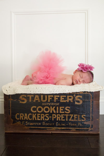 feather + light photography | west chester, pa newborn photographer | feminine nursery | baby girl | 