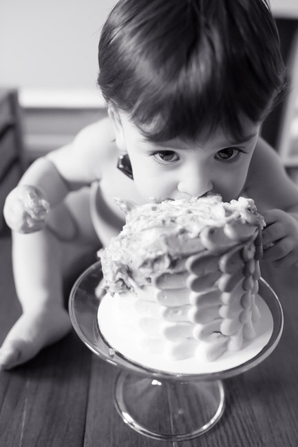 feather + light photography | cake smash | blue cake | baby boy | first birthday