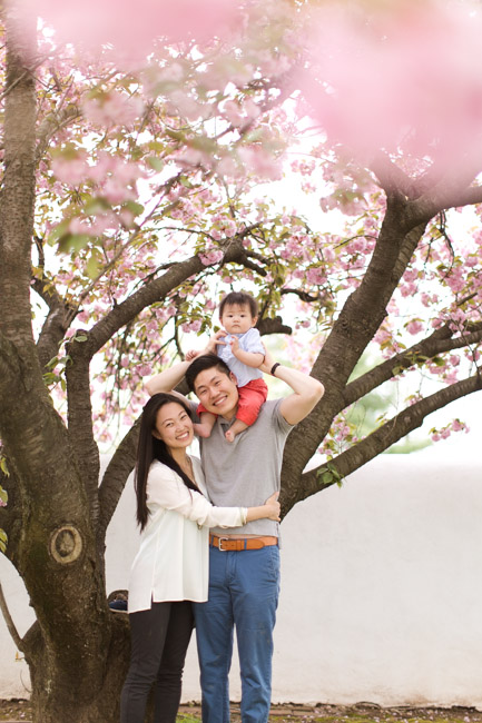 feather + light photography | main line pa family lifestyle photographer | normandy farm | family session | cake smash | baby godzilla