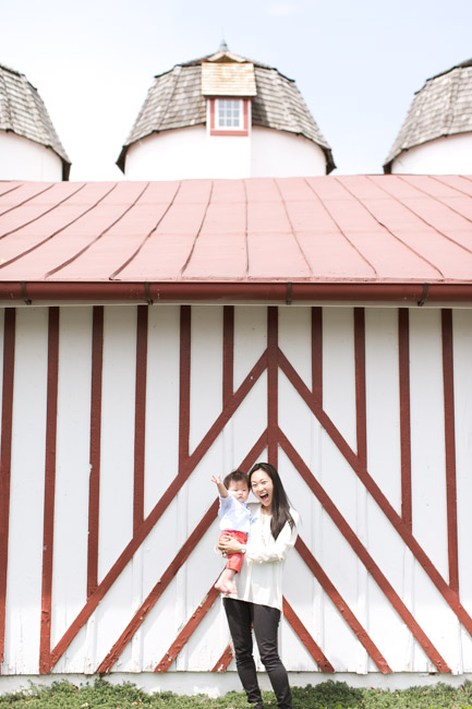 feather + light photography | main line pa family lifestyle photographer | normandy farm | family session | cake smash | baby godzilla