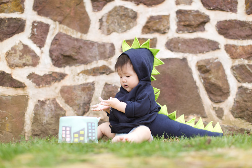 feather + light photography | main line pa family lifestyle photographer | normandy farm | family session | cake smash | baby godzilla