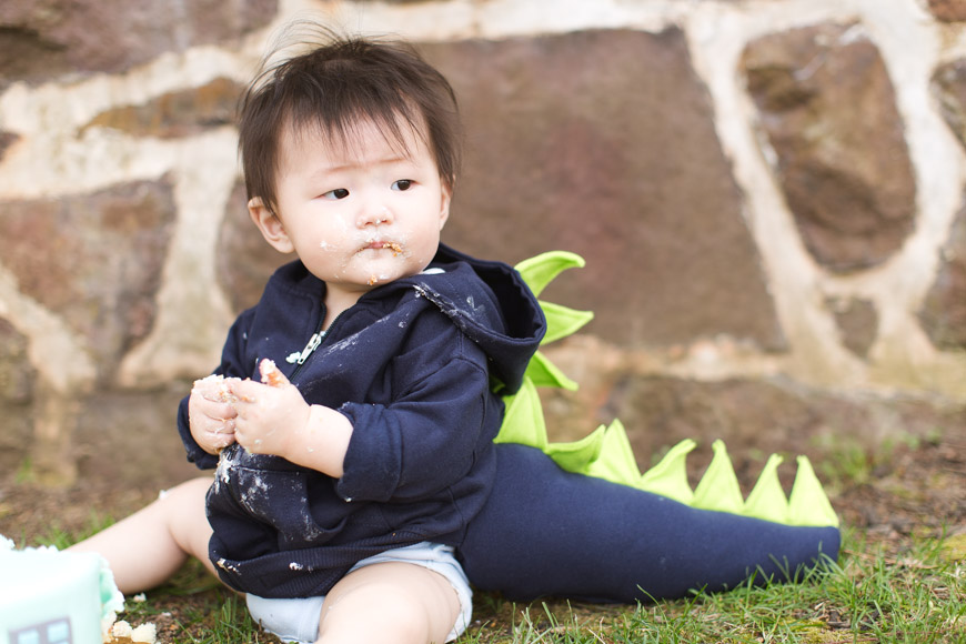 feather + light photography | main line pa family lifestyle photographer | normandy farm | family session | cake smash | baby godzilla