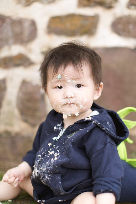 feather + light photography | main line pa family lifestyle photographer | normandy farm | family session | cake smash | baby godzilla