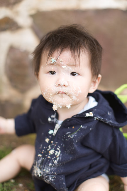 feather + light photography | main line pa family lifestyle photographer | normandy farm | family session | cake smash | baby godzilla