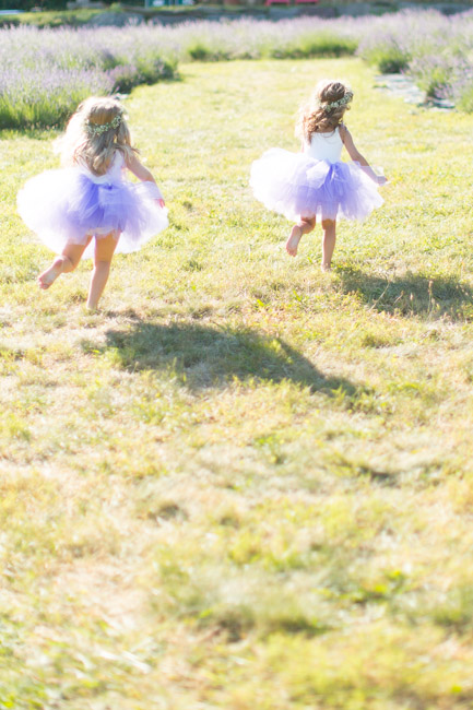 feather + light photography | lavender fields | tutu | wrare doll | bestie birthday photoshoot 