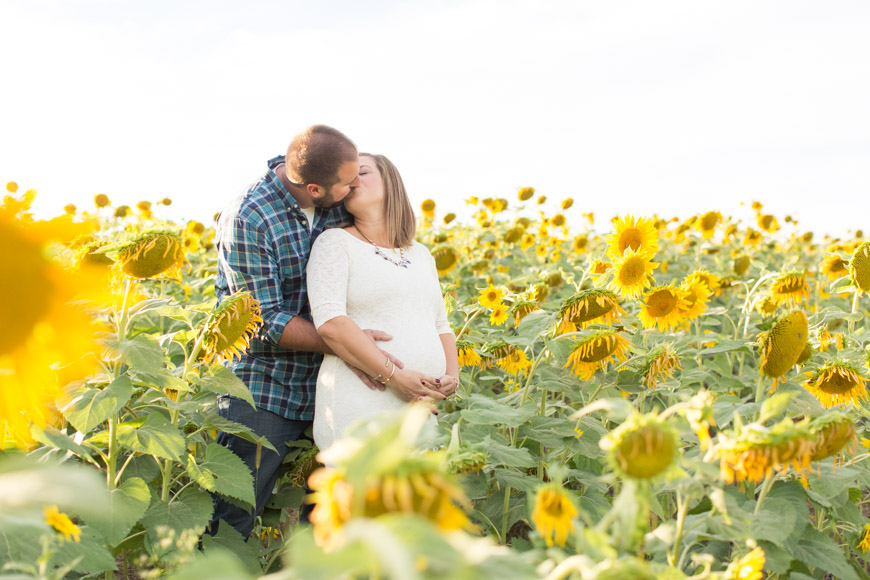 feather + light photogarphy | sunflower maternity session