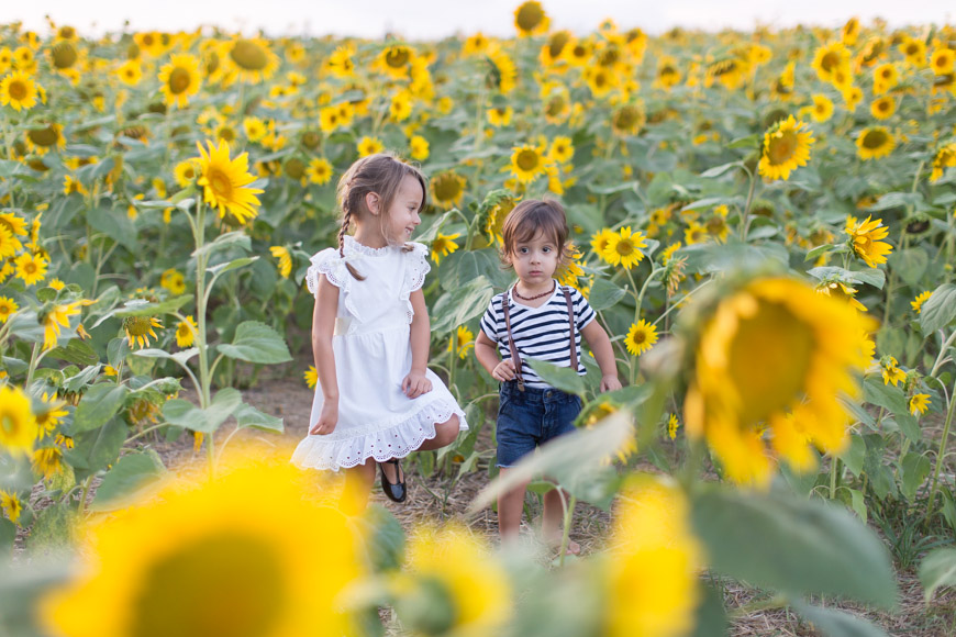 feather + light photography | philadelphia lifestyle blogger | sunflower fields | kennet square