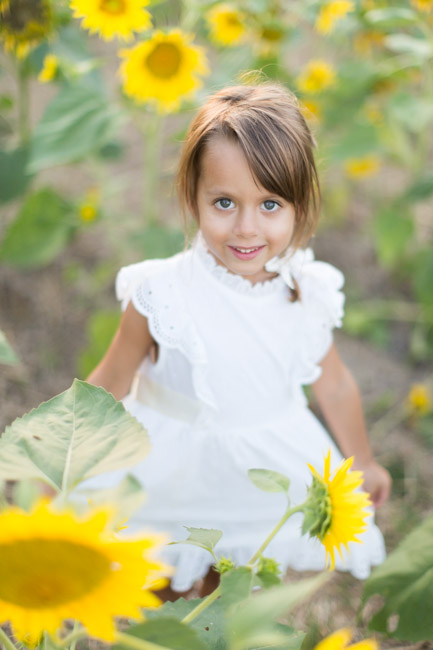 feather + light photography | philadelphia lifestyle blogger | sunflower fields | kennet square