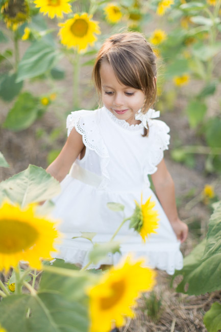 feather + light photography | philadelphia lifestyle blogger | sunflower fields | kennet square