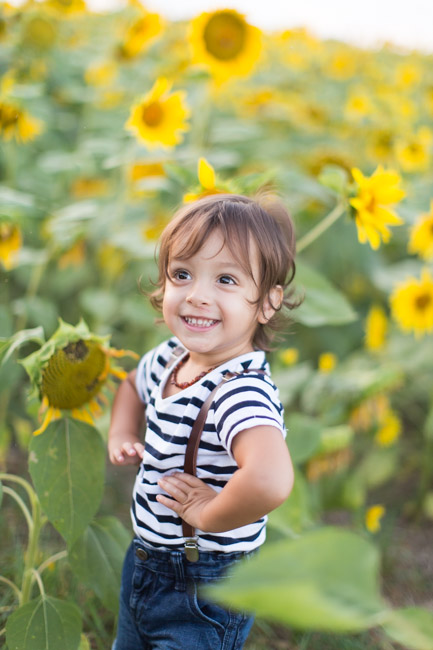 feather + light photography | philadelphia lifestyle blogger | sunflower fields | kennet square