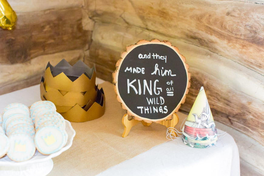 feather + light photography | where the wild things are birthday party | wild thing 