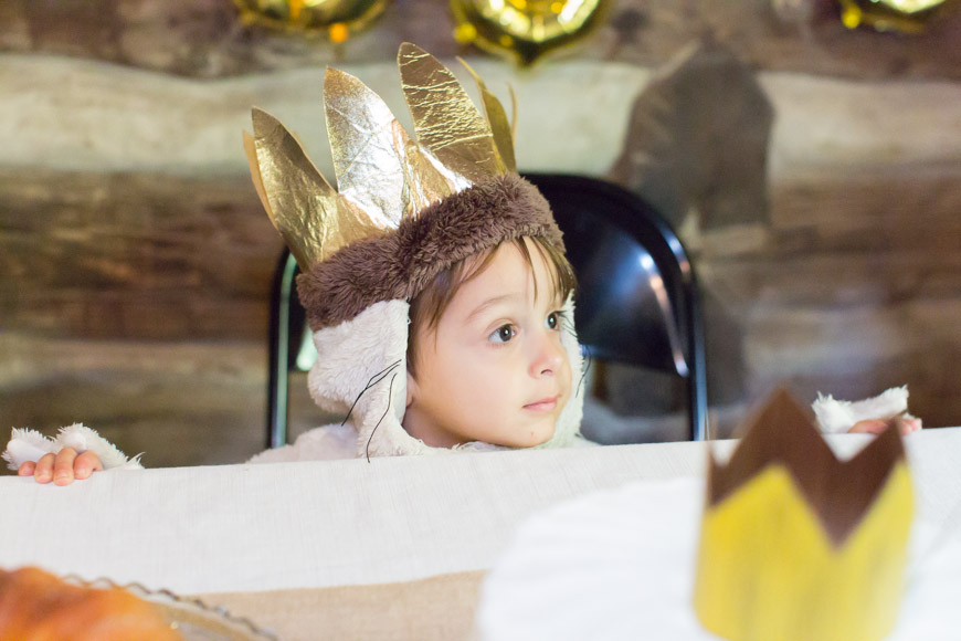 feather + light photography | where the wild things are birthday party | wild thing 