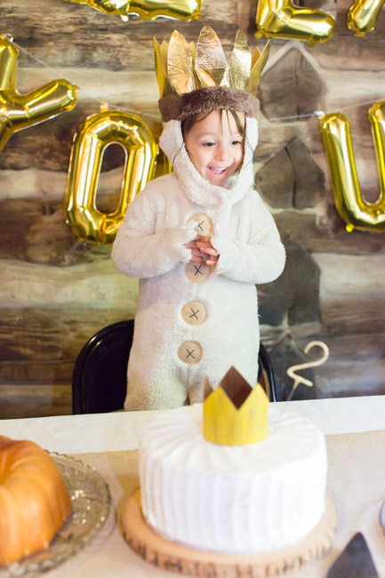 feather + light photography | where the wild things are birthday party | wild thing 