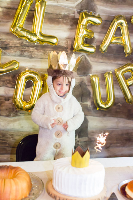 feather + light photography | where the wild things are birthday party | wild thing 