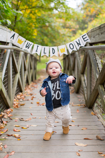 feather + light photography | cake smash | wild one