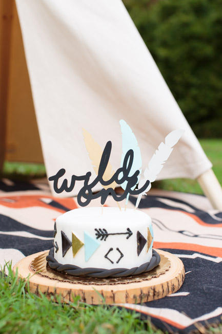 feather + light photography | cake smash | wild one