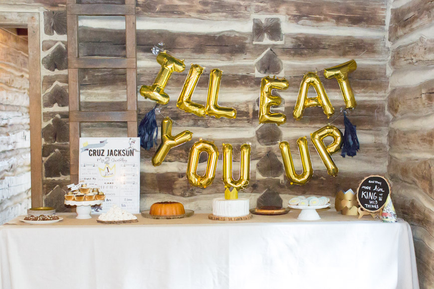 feather + light photography | where the wild things are birthday party | wild thing 