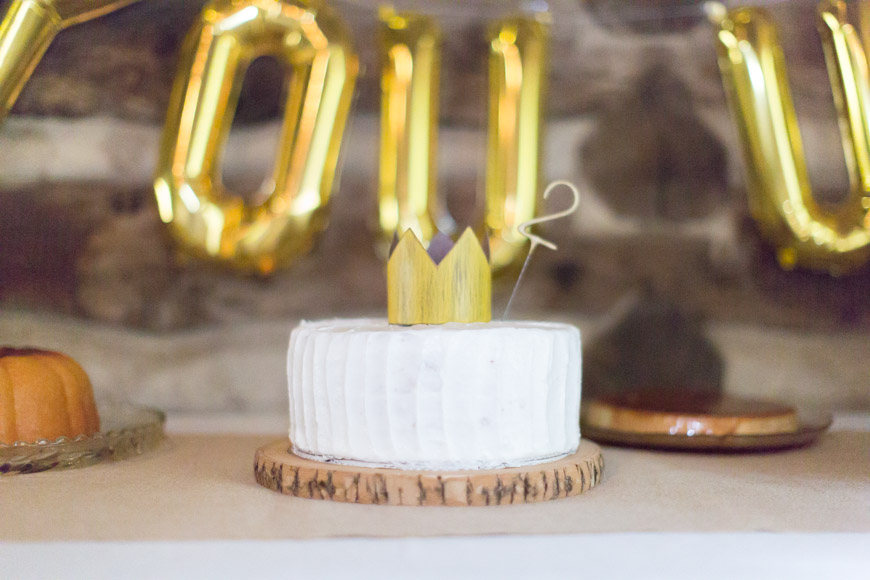 feather + light photography | where the wild things are birthday party | wild thing 